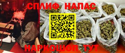 прущие грибы Баксан