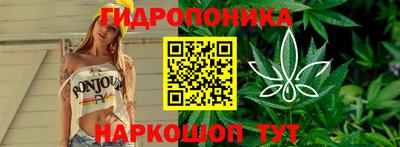 2c-b Ачхой-Мартан