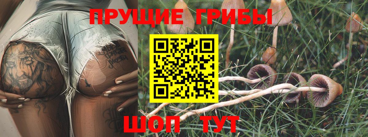 Псилоцибиновые грибы прущие грибы Пугачёв
